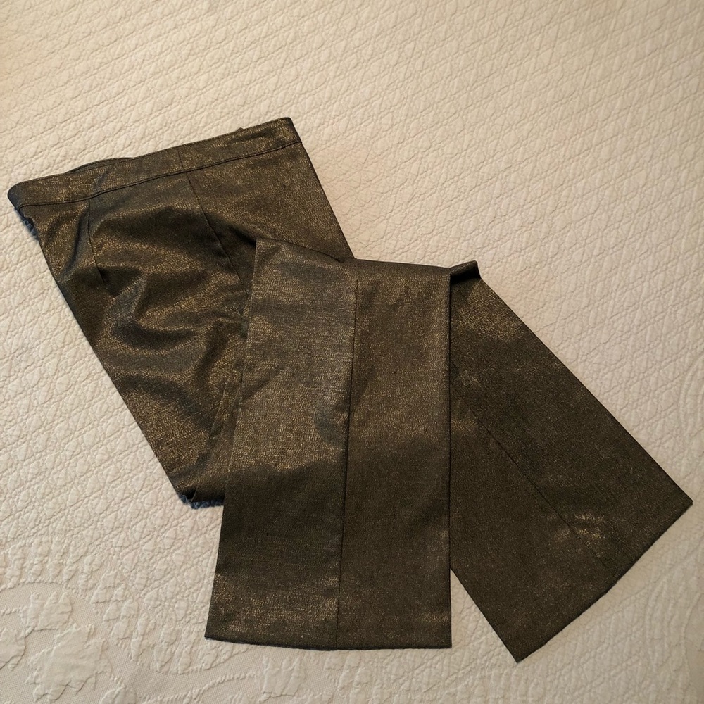 Very dressy pants